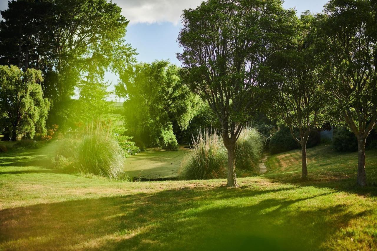 Parehua Resort Martinborough Bilik gambar